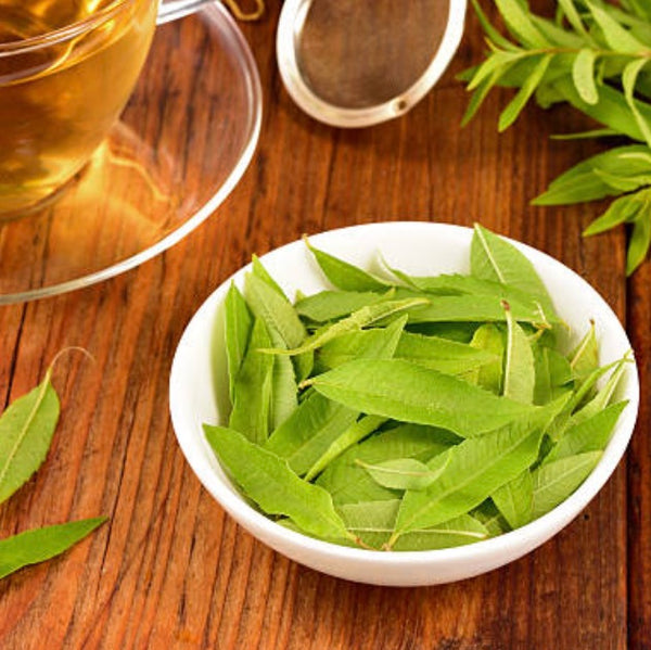 Verveine citronelle ou odorante - casarome